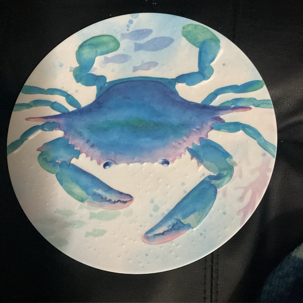 Pottery Barn Sea Life Melamine 9” Plates Ocean Beach House Home Decor